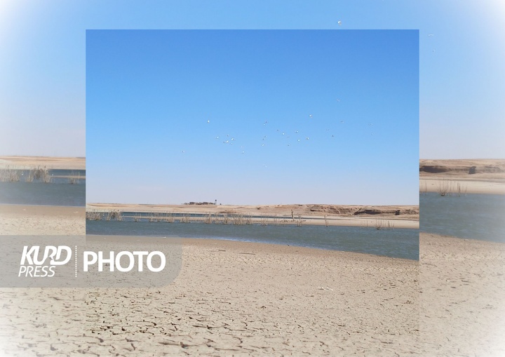 سد سنگ سیاه