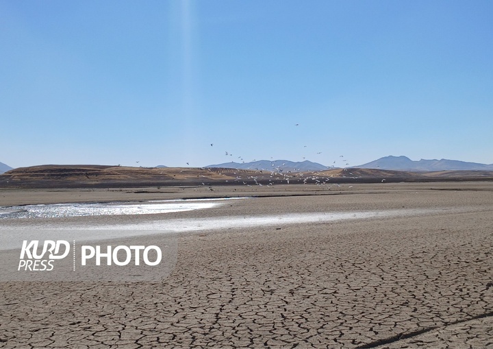 سد سنگ سیاه