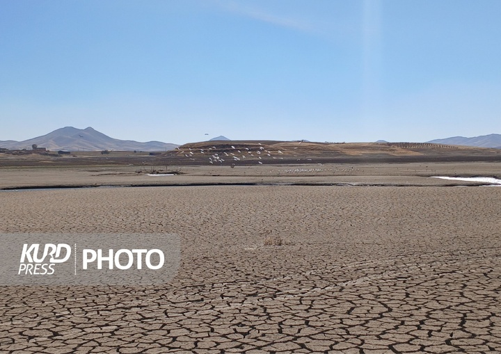 سد سنگ سیاه