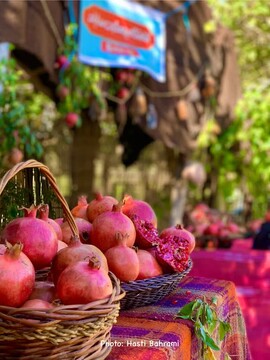 جشن بزرگ انار در روستای ساتیاری پاوه برگزار می‌شود
