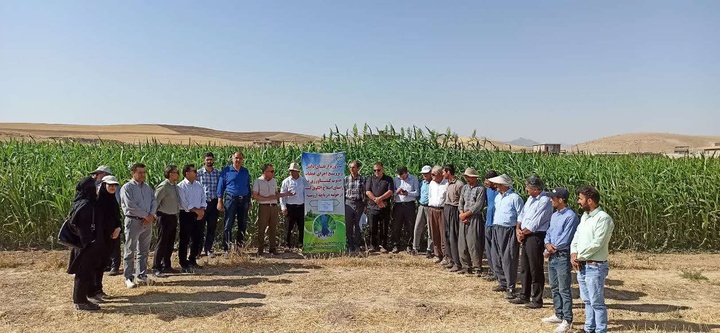  ٧ هزار نفر در آذربایجان‌غربی آموزش مدیریت مصرف آب دریافت کردند