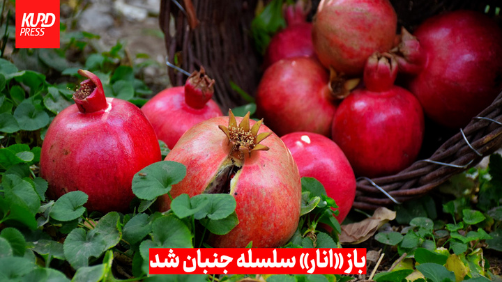 باز «انار» سلسله جنبان شد