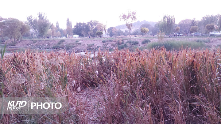 یک عصر پاییزی در مهاباد