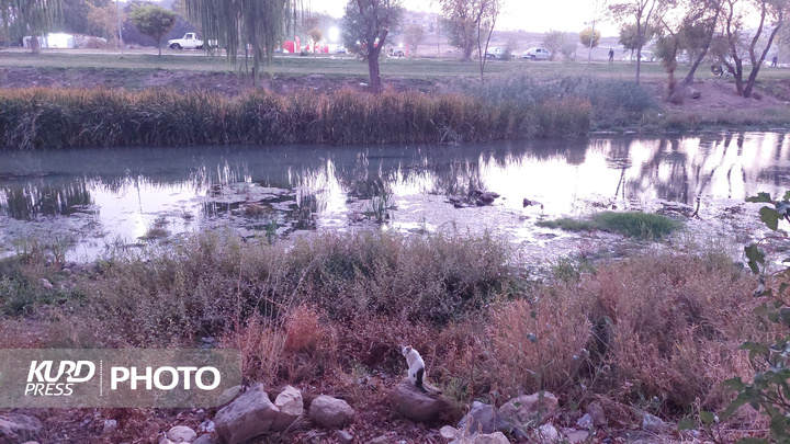 یک عصر پاییزی در مهاباد