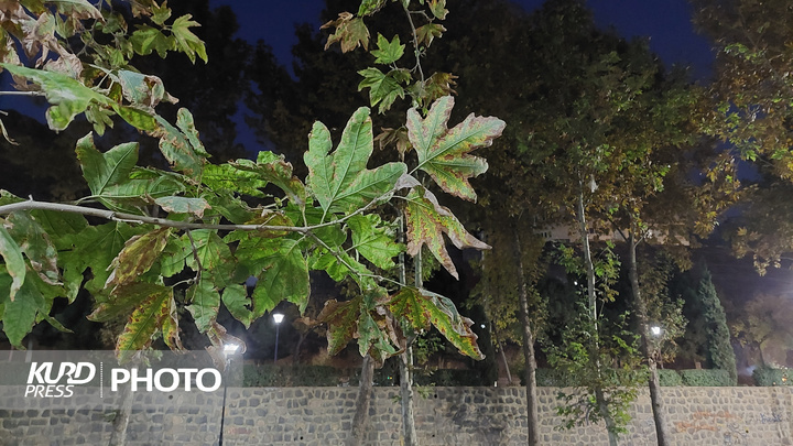 یک عصر پاییزی در مهاباد