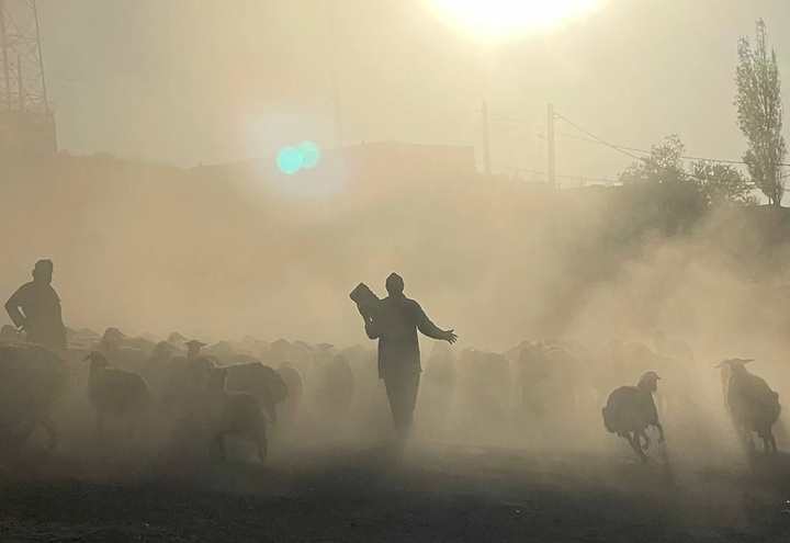 «عەدنان زەندی»؛ «دەم بەستە» بەرهەم دێنێت