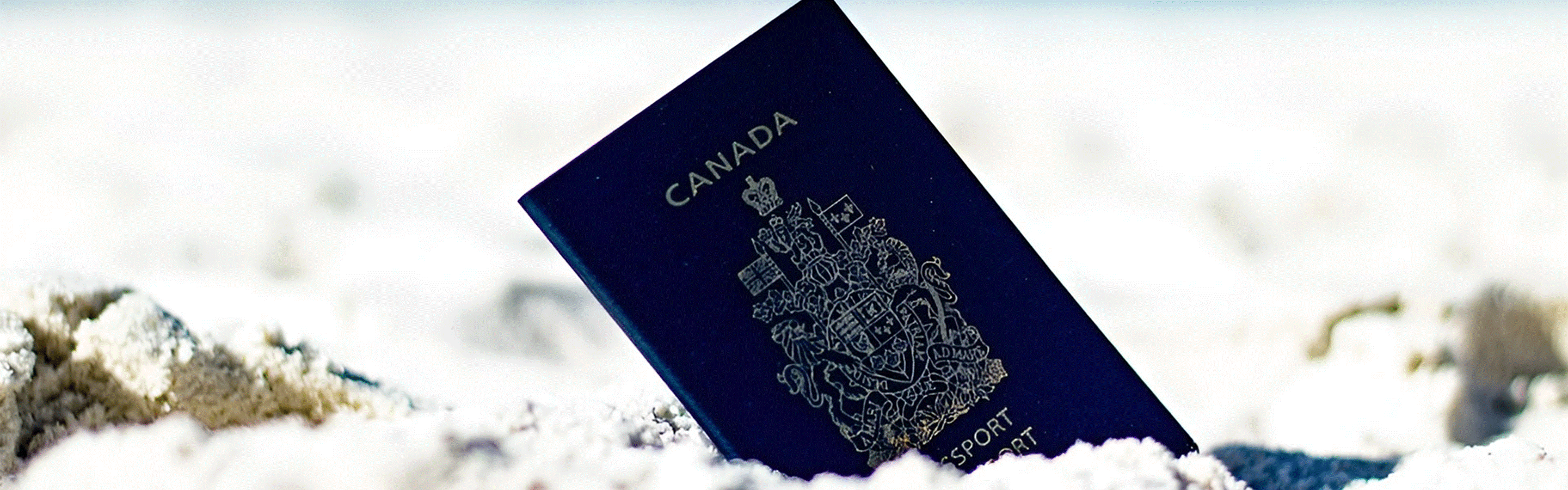 5 مرحله مهم پیکاپ ویزای کانادا