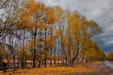 طبیعت پاییزی ارومیه/حمید اکبری