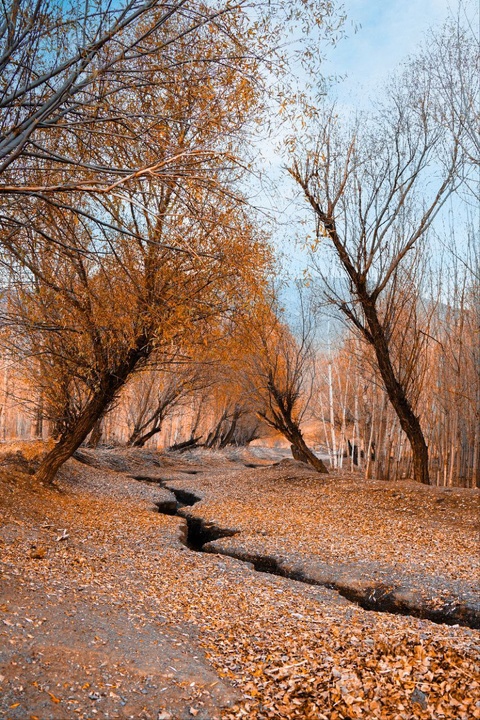 طبیعت پاییزی ارومیه