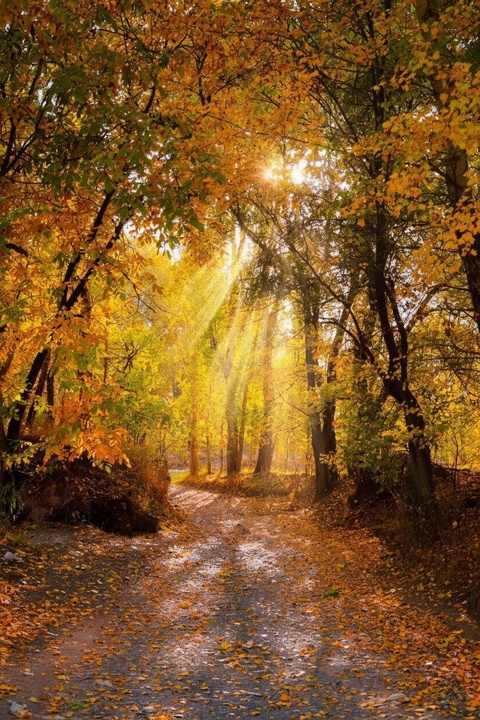 طبیعت پاییزی ارومیه