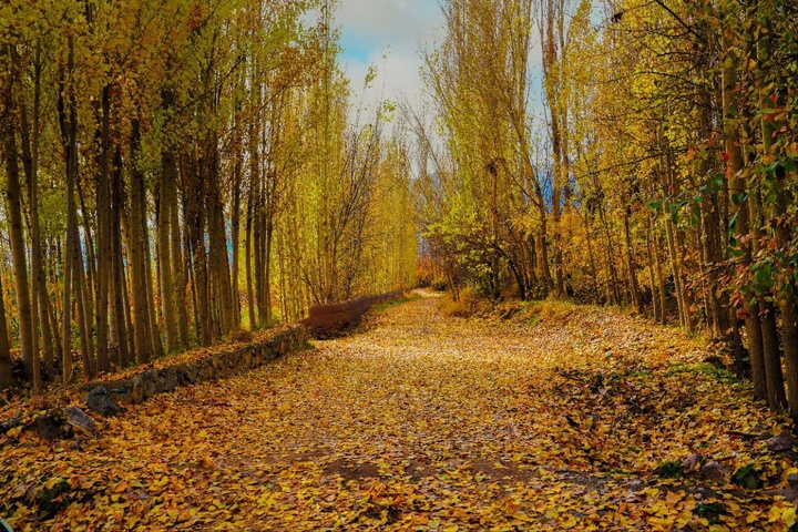 طبیعت پاییزی ارومیه