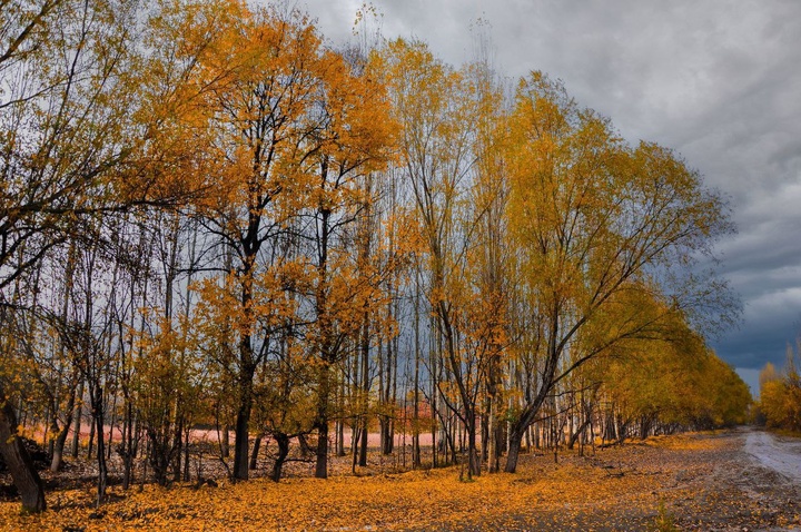 طبیعت پاییزی ارومیه