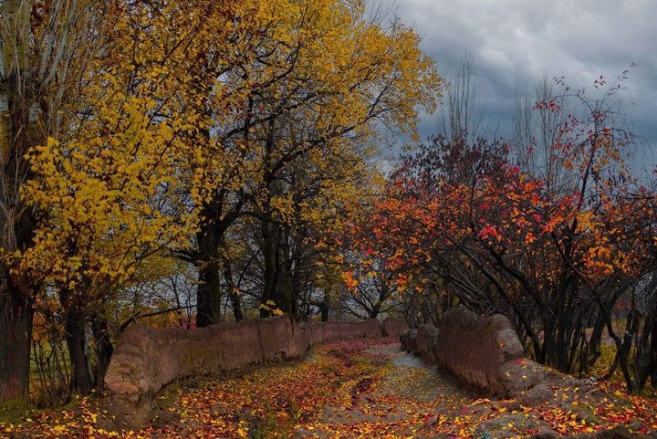 طبیعت پاییزی ارومیه