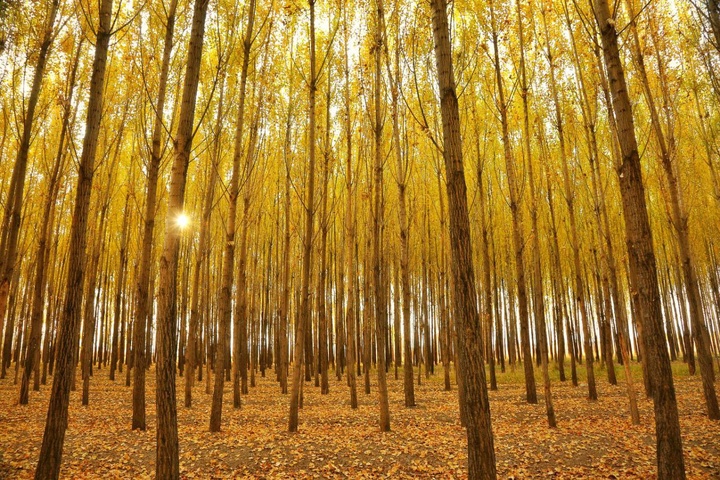 طبیعت پاییزی ارومیه