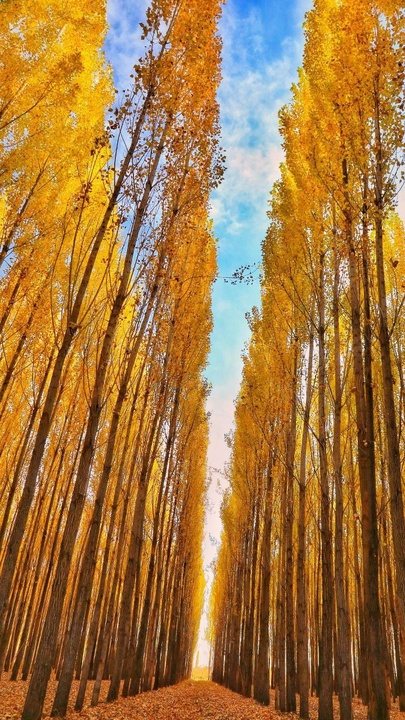 طبیعت پاییزی ارومیه