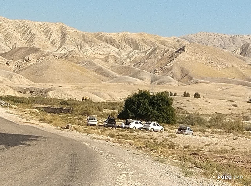 درختی که از خون و آب رویید؛ روایت مردی که با دو دبه، جاده سرنی را سبز کرد / یاسر بابایی