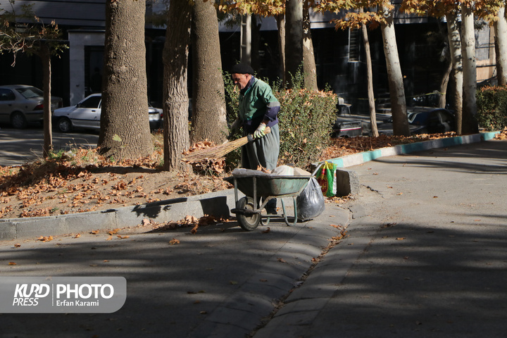 رقص طلایی برگ ها در خیابان های سنندج / عکاس : عرفان کرمی