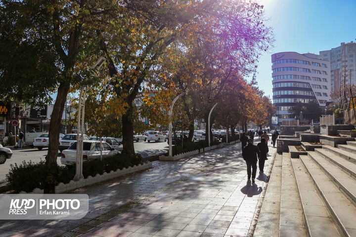 رقص طلایی برگ ها در خیابان های سنندج / عکاس : عرفان کرمی