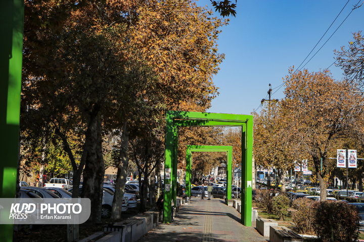 رقص طلایی برگ ها در خیابان های سنندج / عکاس : عرفان کرمی