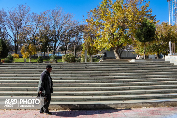 رقص طلایی برگ ها در خیابان های سنندج / عکاس : عرفان کرمی