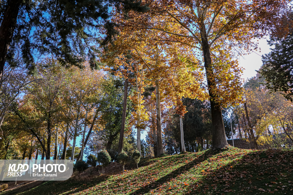 طبیعت پاییزی سنندج / عکاس : عرفان کرمی