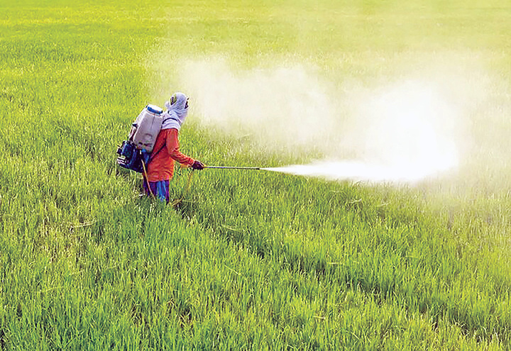 ۹۱ هزار تن کود شیمیایی در کردستان توزیع شد
