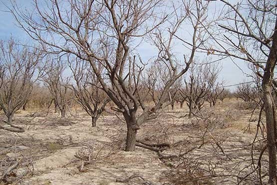 مدیریت نادرست منابع آبی معیشت مردم را قربانی احیای ناقص دریاچه ارومیه می کند