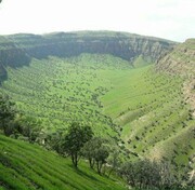 آغاز احیای جنگل‌های آسیب دیده از آتش در کبیرکوه دره شهر