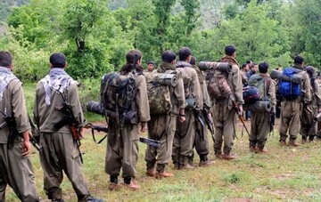 نمی توان اعضای PKK که اقدام مسلحانه کرده اند و آنها که نکرده اند را از هم تفکیک کرد