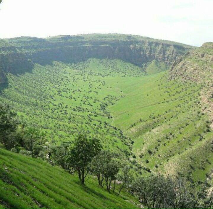 آغاز احیای جنگل‌های آسیب دیده از آتش در کبیرکوه دره شهر