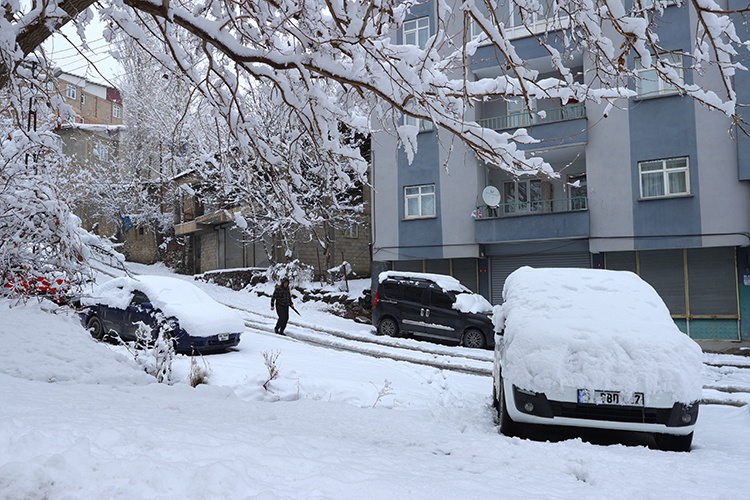 دست برف بر شانههای کردستان ترکیه نشست و دل ها را شاد کرد + تصاویر