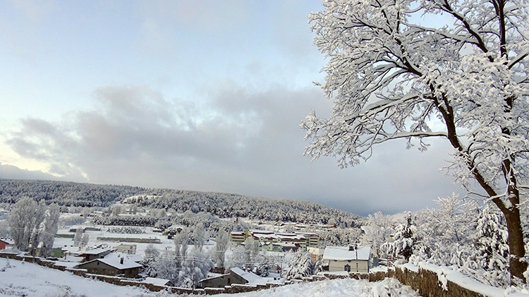 دست برف بر شانههای کردستان ترکیه نشست و دل ها را شاد کرد + تصاویر