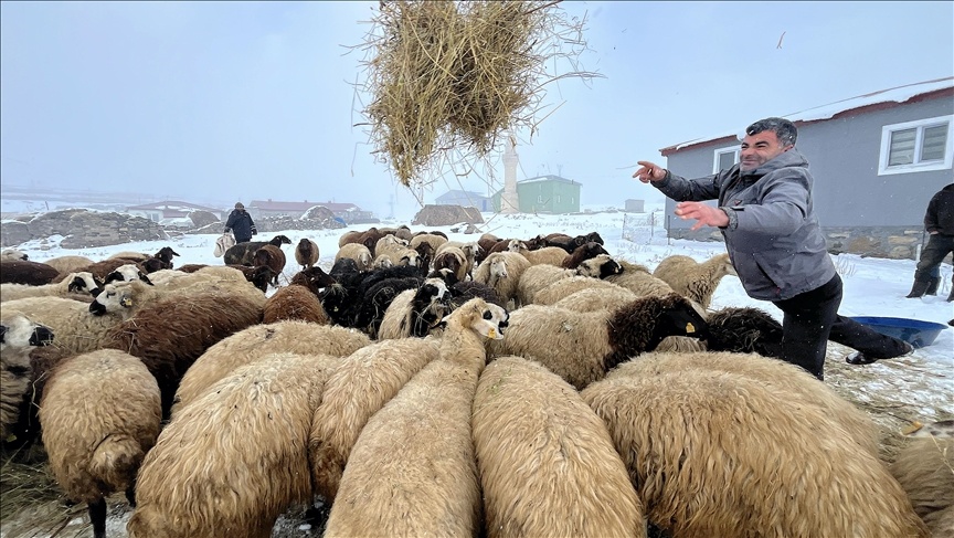 دست برف بر شانههای کردستان ترکیه نشست و دل ها را شاد کرد + تصاویر