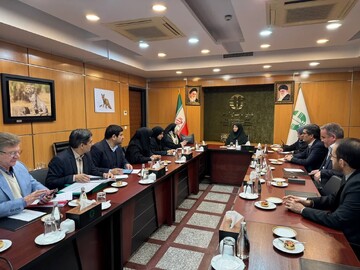 ریزگردها و آلاینده های صنعتی از عوامل موثر بر سونامی سرطان در ایلام هستند