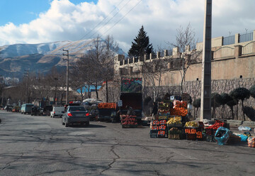 انتقاد فرماندار سنندج از وضعیت ساماندهی وانت های میوه فروش در سطح شهر