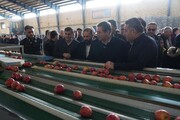 افتتاح سردخانه ۲۰۰۰ تنی و ۲ واحد سورتینگ بسته‌بندی میوه در اشنویه