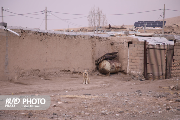 گزارش تصویری افتتاح 3 پروژه راه روستایی در شهرستان قروه / عکاس : عرفان کرمی