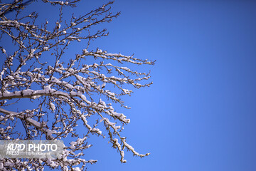 کردستان هفته ای بدون بارش را پیش رو دارد