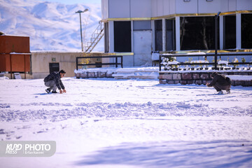 دو سامانه بارشی در هفته جاری وارد کشور می شود