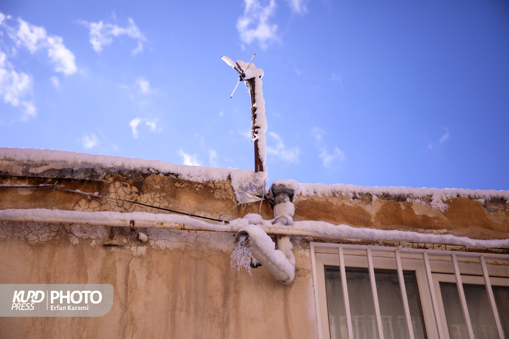 تولد دوباره سنندج پس از بارش برف / عکاس : عرفان کرمی