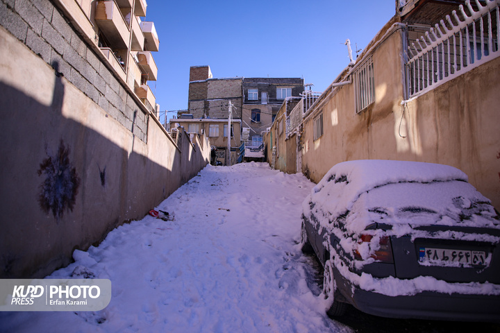 تولد دوباره سنندج پس از بارش برف / عکاس : عرفان کرمی