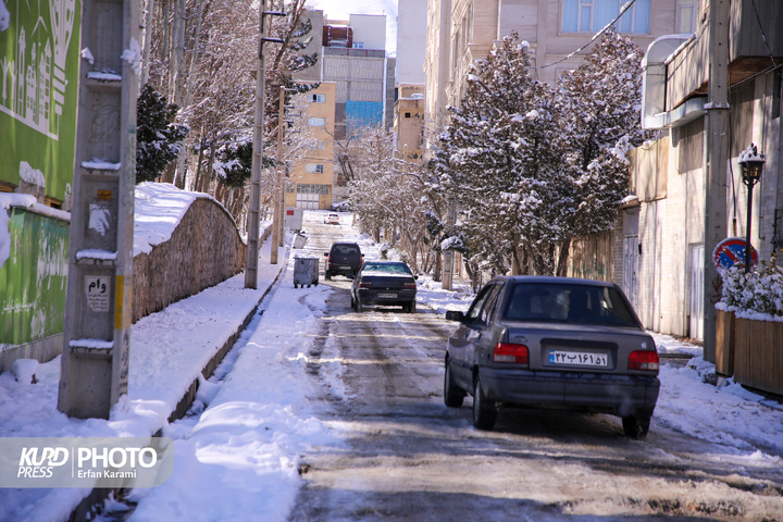 تولد دوباره سنندج پس از بارش برف / عکاس : عرفان کرمی