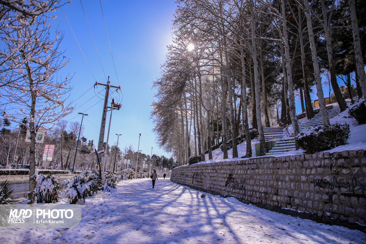 تولد دوباره سنندج پس از بارش برف / عکاس : عرفان کرمی