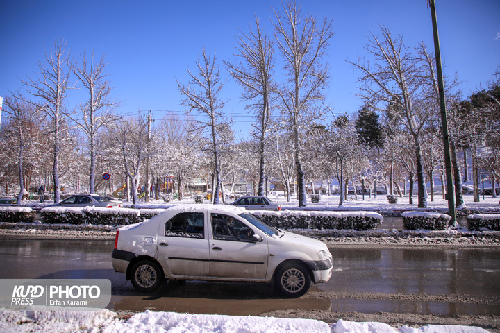 تولد دوباره سنندج پس از بارش برف / عکاس : عرفان کرمی