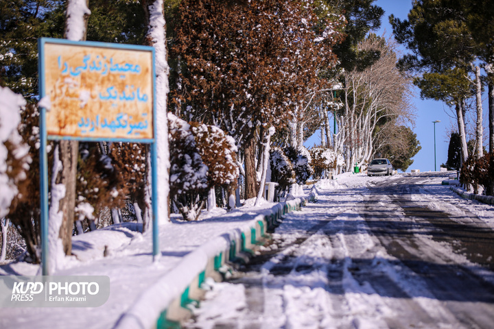 تولد دوباره سنندج پس از بارش برف / عکاس : عرفان کرمی