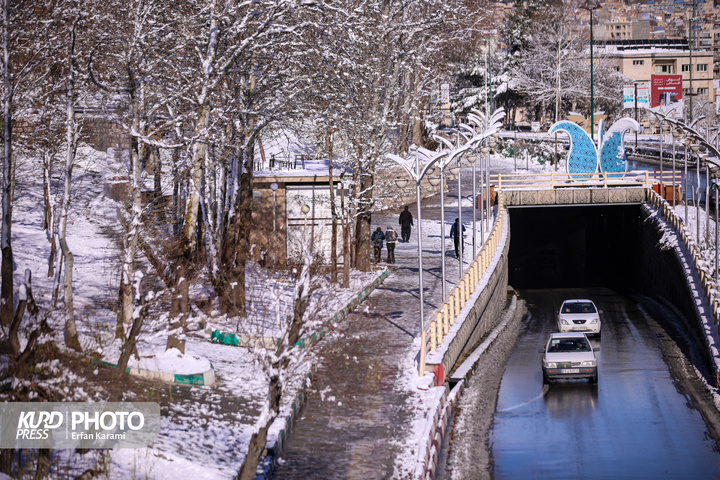 تولد دوباره سنندج پس از بارش برف / عکاس : عرفان کرمی