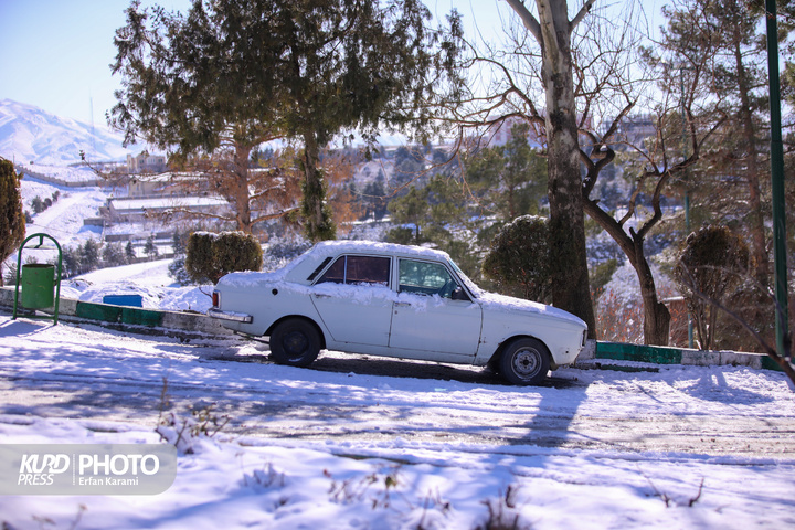 تولد دوباره سنندج پس از بارش برف / عکاس : عرفان کرمی