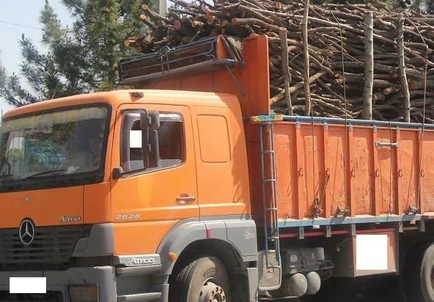 کشف 20 تن چوب قاچاق در جوانرود