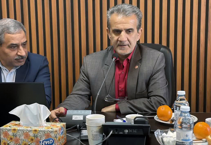 تأکید معاون وزیر بر ضرورت بازتعریف سلامت اجتماعی/بهزیستی نباید صرفاً نهاد مدیریت آسیب باشد