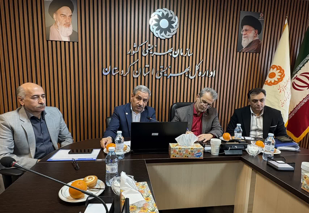 تأکید معاون وزیر بر ضرورت بازتعریف سلامت اجتماعی/بهزیستی نباید صرفاً نهاد مدیریت آسیب باشد